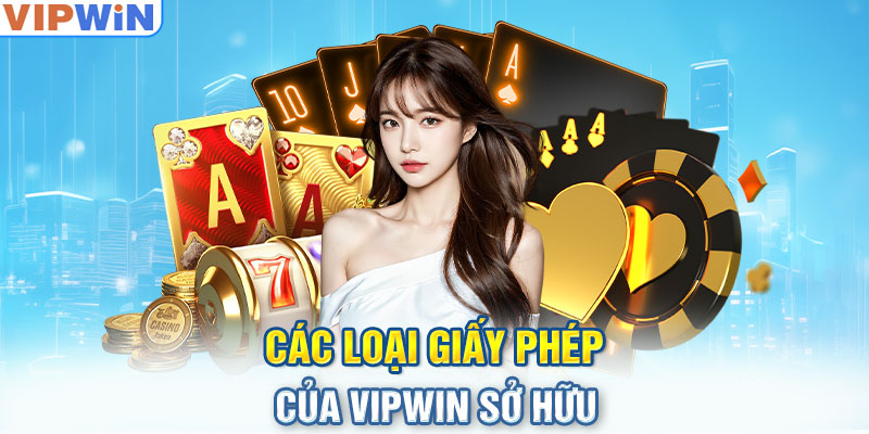 Các loại giấy phép của VIPwin sở hữu