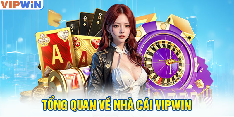 tong-quan-ve-nha-cai-vipwin